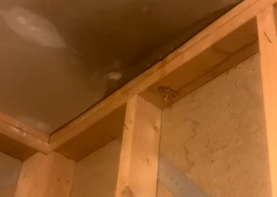 Top Residential Contractor